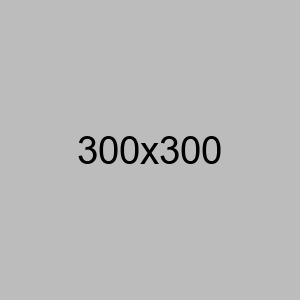 3254